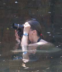 Sometimes the best vantage point is in the water.