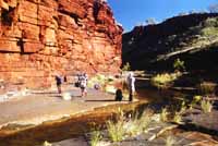 Photo stop, Dales Gorge