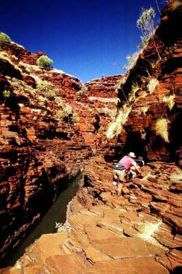Hancock Gorge tourist walk, photo R Willis