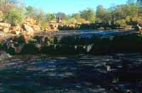 Pearson River at the start of the walk, photo R Baillie