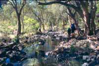 Walking along the creek, R Baillie