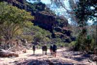 Easy walking, R Baillie