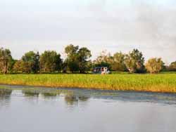 Flood grass plain