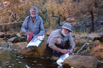 Collecting water