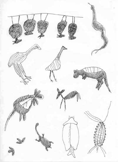 Josephine's sketches of some of the Aboriginal paintings