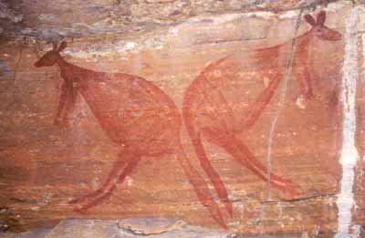 Kangaroo paintings