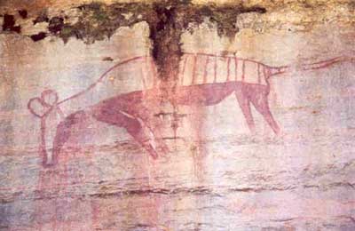 Thylacine painting